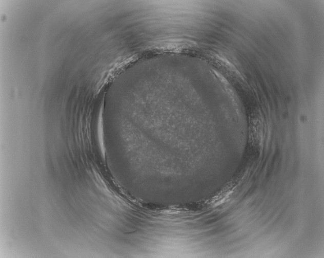 X0000057100504200510071941