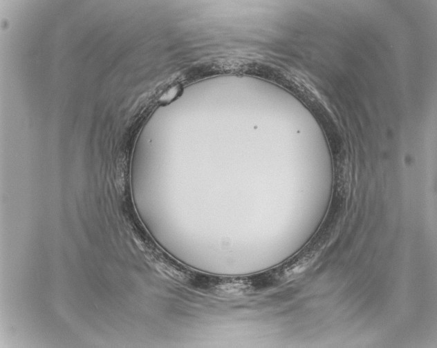 X0000057100505200510071941