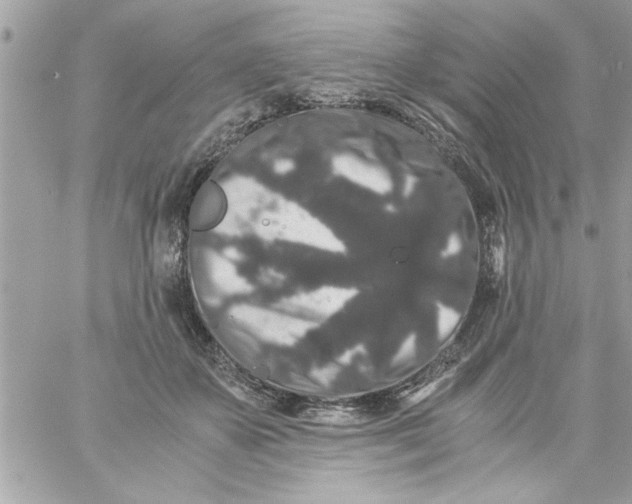 X0000057100507200510071940