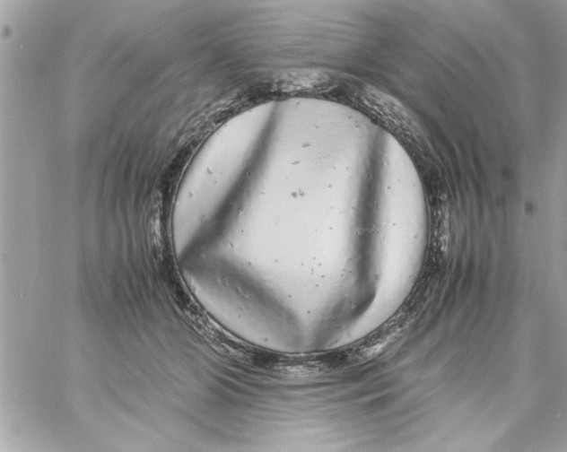 X0000057100510200510071940