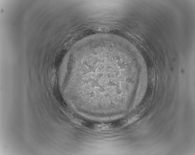 X0000057100511200510071940