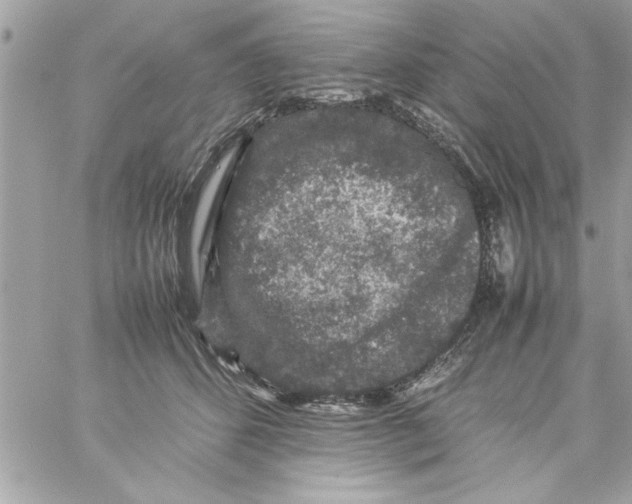 X0000057100512200510071940