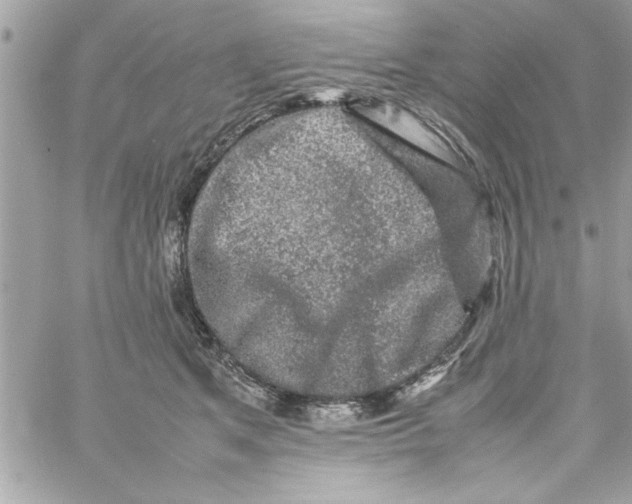 X0000057100513200510071940