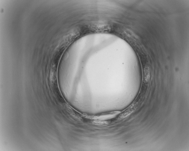 X0000057100515200510071940