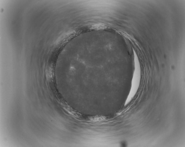 X0000057100517200510071940