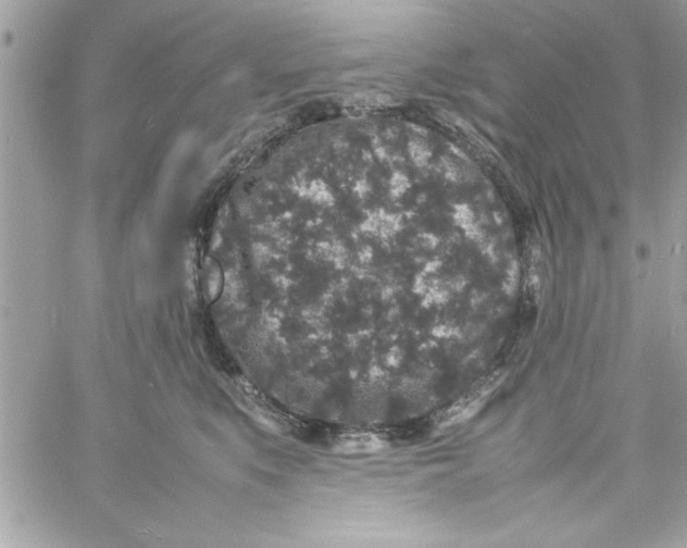 X0000057100519200510071940