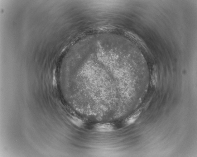 X0000057100520200510071940