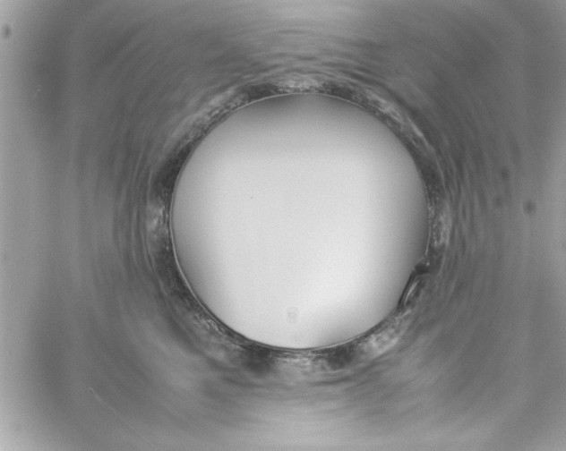 X0000057100521200510071940