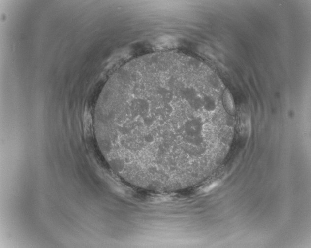 X0000057100523200510071940