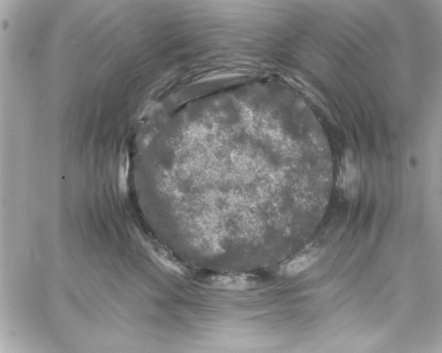 X0000057100524200510071940