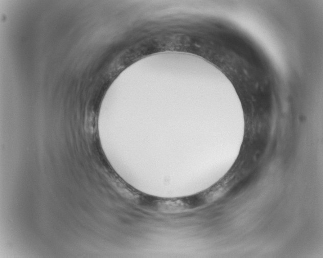 X0000057100525200510071940