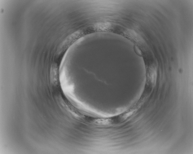 X0000057100526200510071940