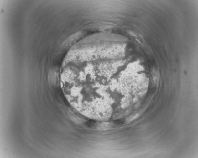 X0000057100527200510071940