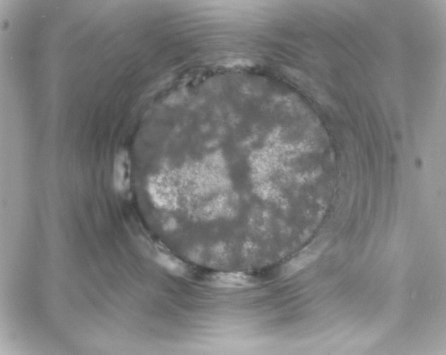 X0000057100528200510071940