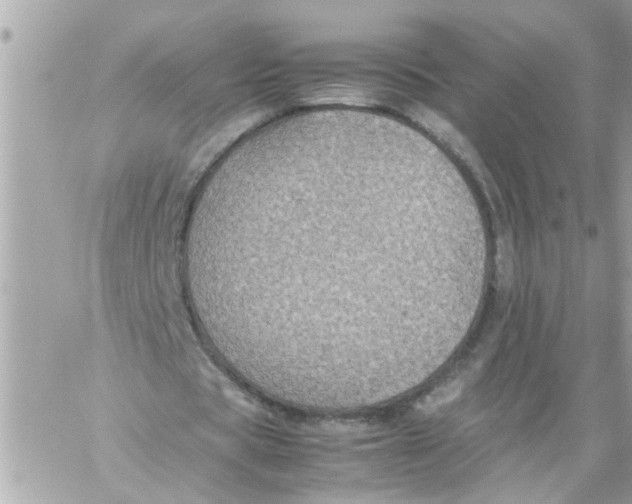 X0000057100529200510071939