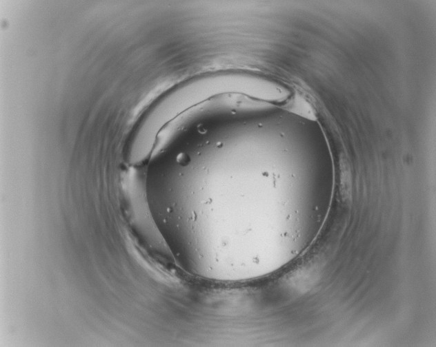 X0000057100530200510071939