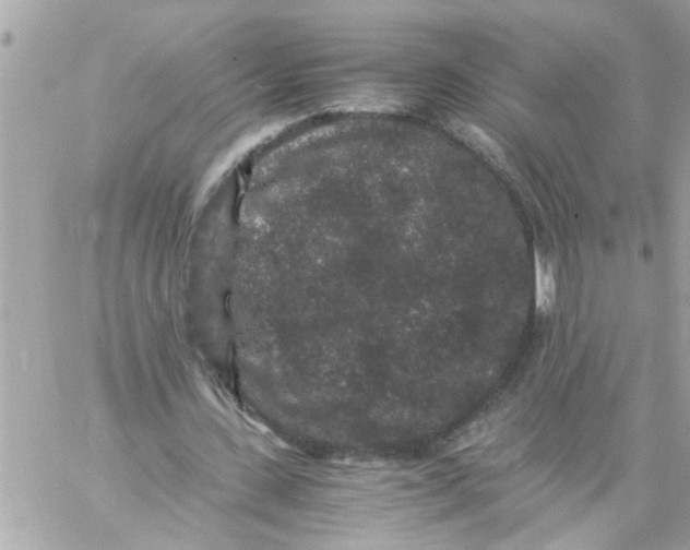 X0000057100531200510071939