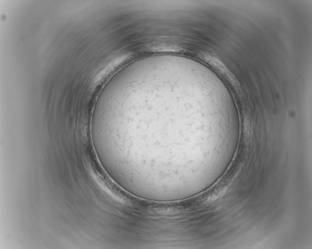 X0000057100533200510071939