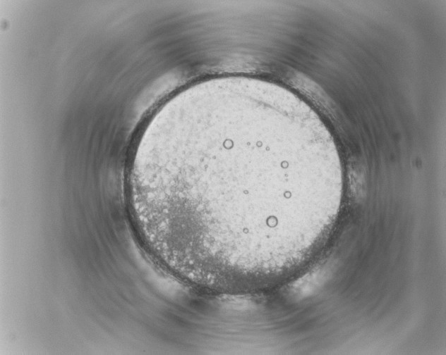 X0000057100534200510071939