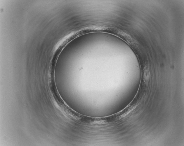 X0000057100536200510071939