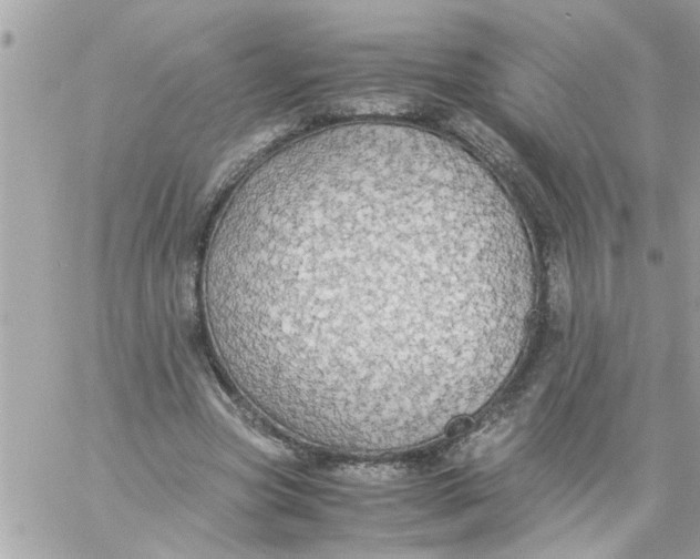 X0000057100537200510071939