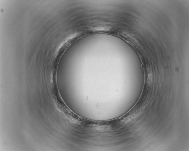 X0000057100539200510071939