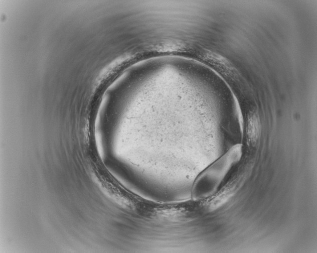 X0000057100540200510071939