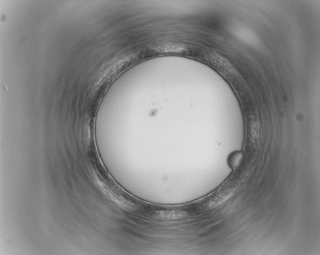 X0000057100541200510071940