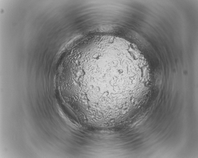 X0000057100542200510071940