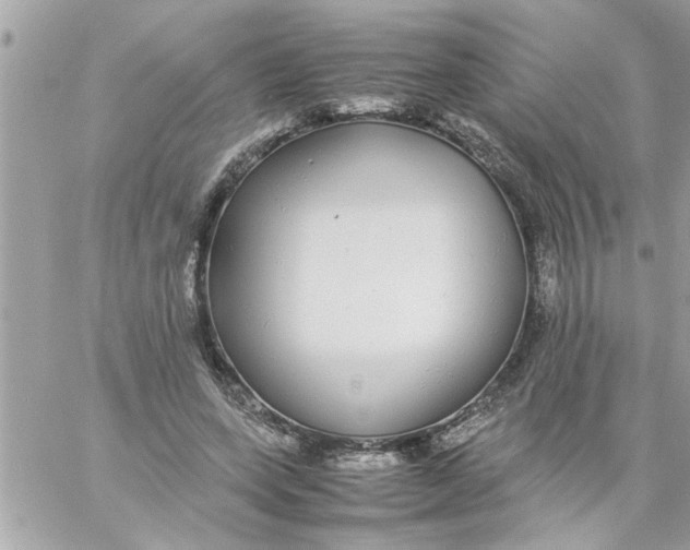 X0000057100543200510071940