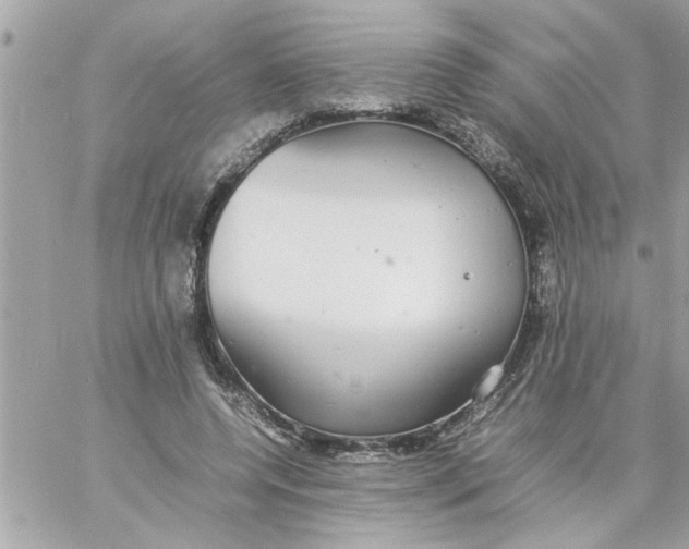 X0000057100544200510071940