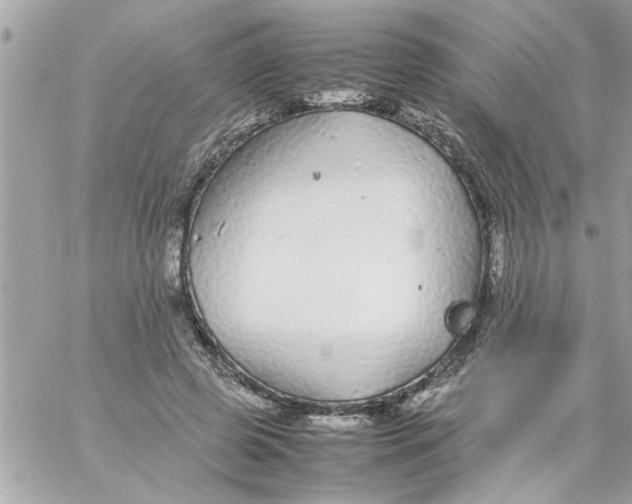 X0000057100545200510071940