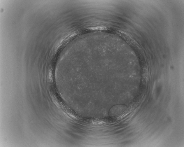 X0000057100547200510071940