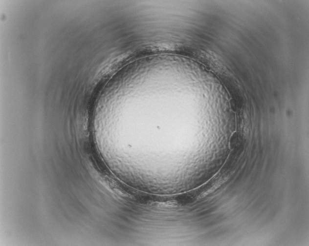 X0000057100548200510071940