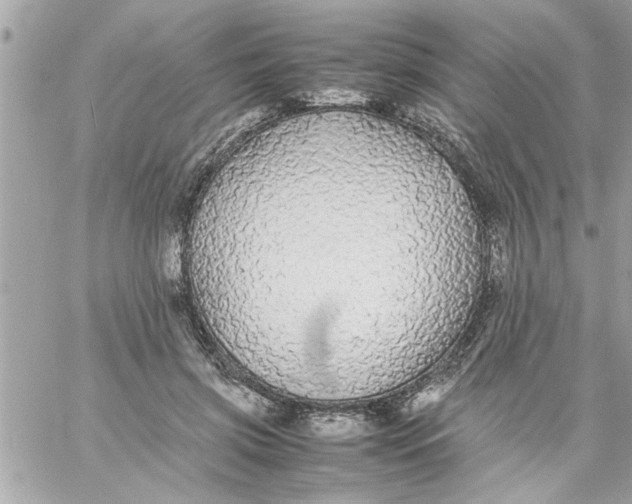 X0000057100549200510071940