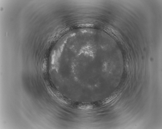 X0000057100551200510071940