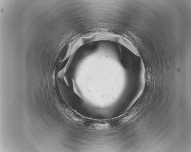 X0000057100552200510071940