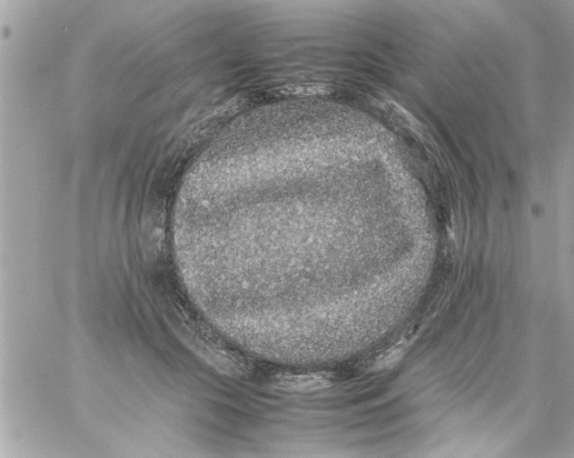 X0000057100553200510071940