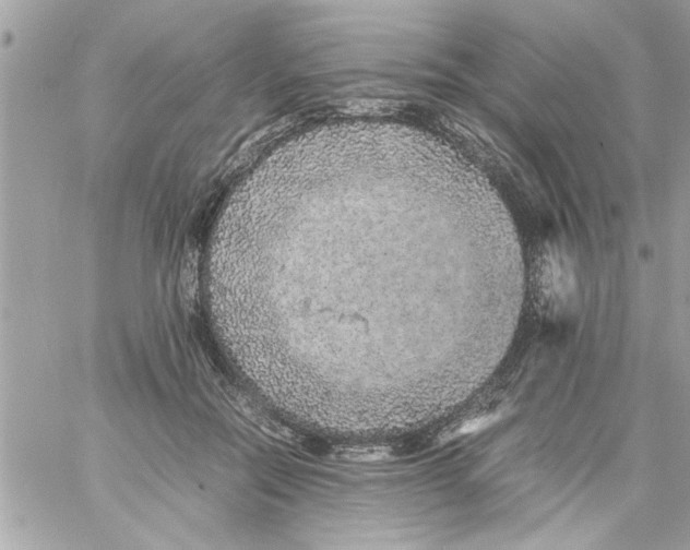 X0000057100554200510071940