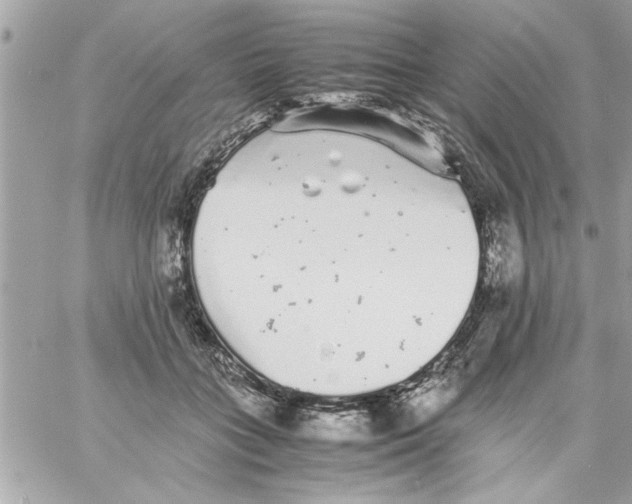 X0000057100555200510071940