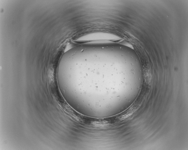 X0000057100556200510071940