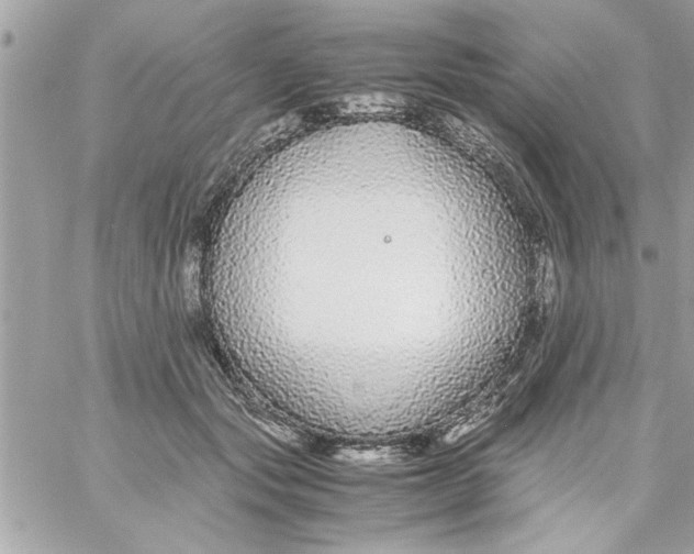 X0000057100557200510071940