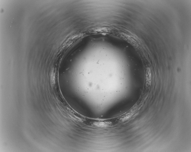 X0000057100558200510071940