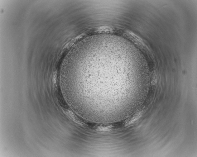 X0000057100560200510071940