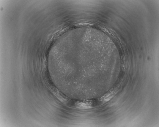 X0000057100563200510071940