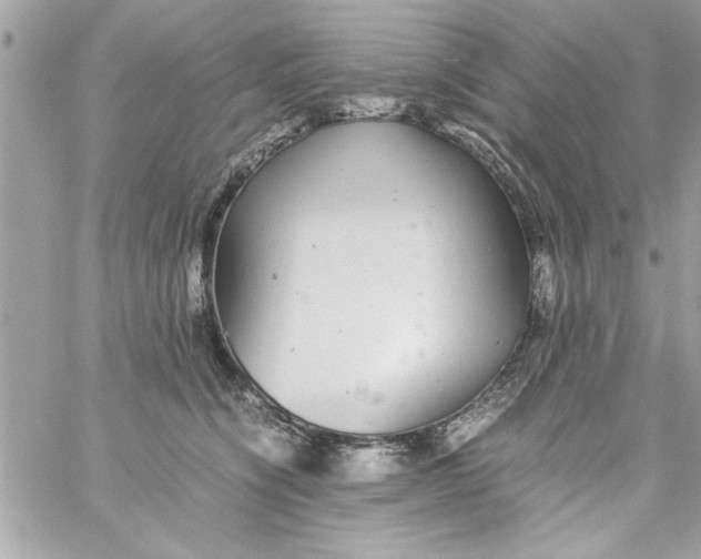 X0000057100564200510071940