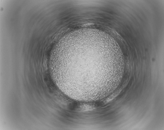 X0000057100565200510071940