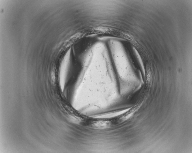 X0000057100566200510071940