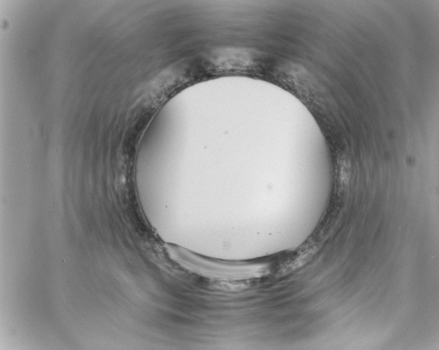 X0000057100567200510071940