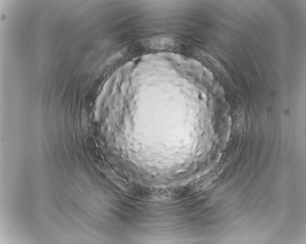 X0000057100569200510071940